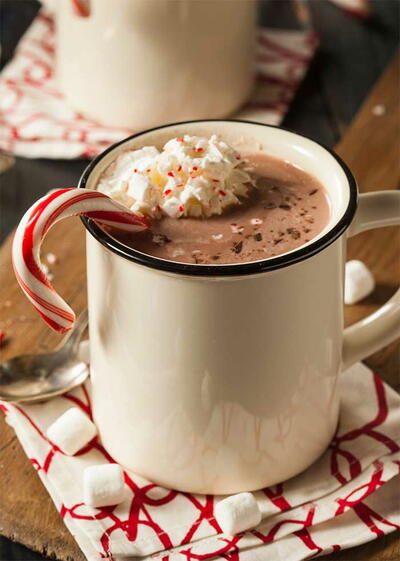 Sugar Free Hot Chocolate Recipe