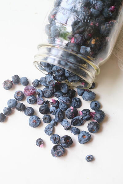 How To Make Freeze Dried Blueberries How To Make Freeze Dried Blueberries
