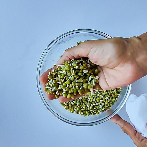 Easy Sprouted Mung Bean Curry with Coconut Easy Sprouted Mung Bean Curry (with Coconut)