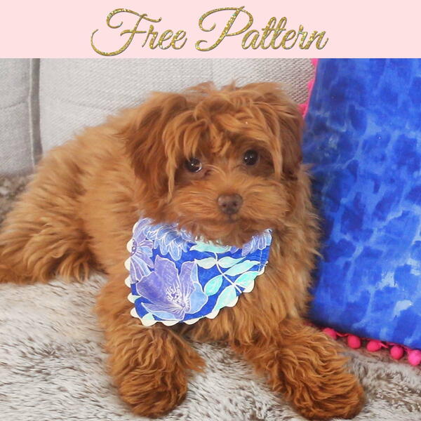 Free Dog Bandana Pattern Free Dog Bandana Pattern
