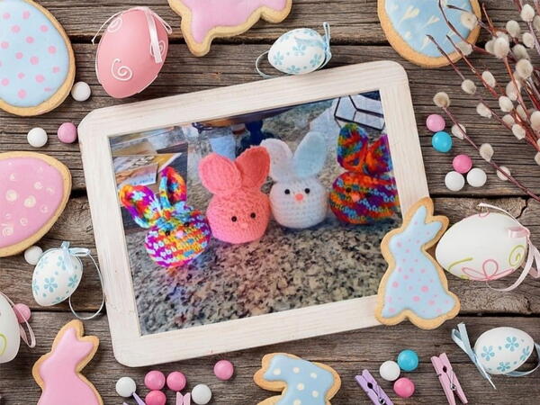 Beckys Bunny Buns Beckys Bunny Buns