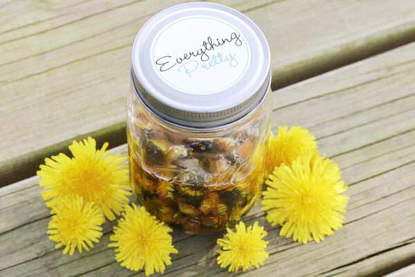 How To Make Dandelion Infused Oil How To Make Dandelion Infused Oil