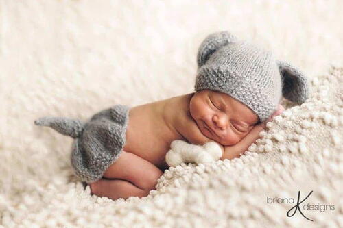 Puppy Dog Outfit Puppy Dog Outfit