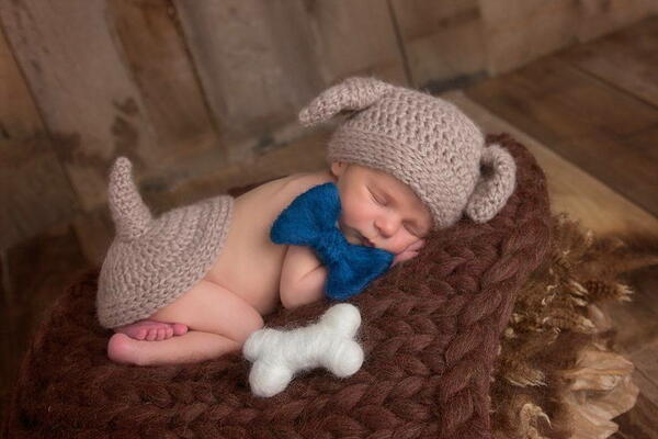 Puppy Dog Outfit Puppy Dog Outfit