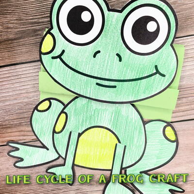 Frog Life Cycle Craft