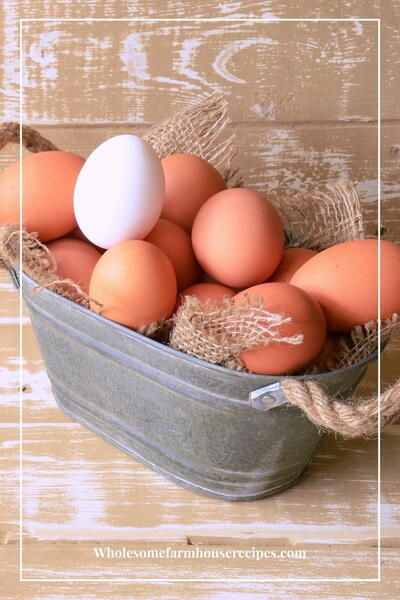 How To Store Fresh Eggs How To Store Fresh Eggs