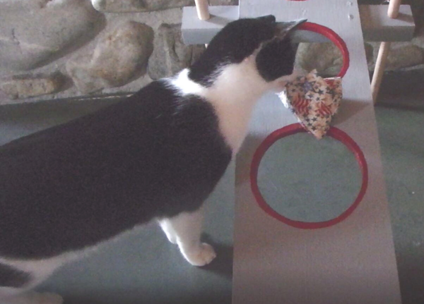 DIY Bean Bag Toss Game DIY Bean Bag Toss Game