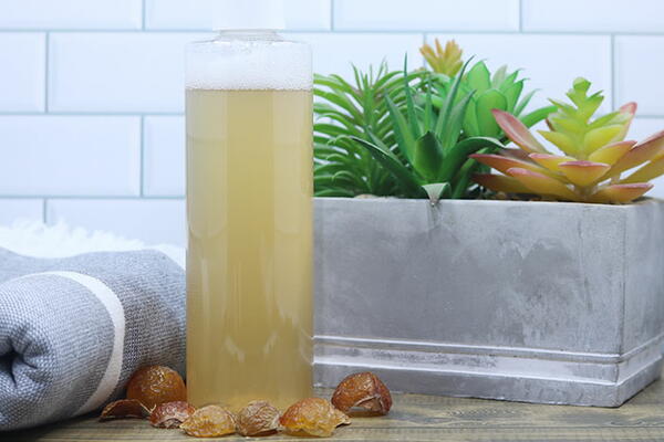 How To Make Soapnut Shampoo Recipe How To Make Soapnut Shampoo Recipe