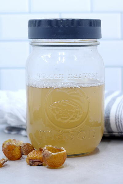 Soap Nut Liquid Concentrate Soap Nut Liquid Concentrate