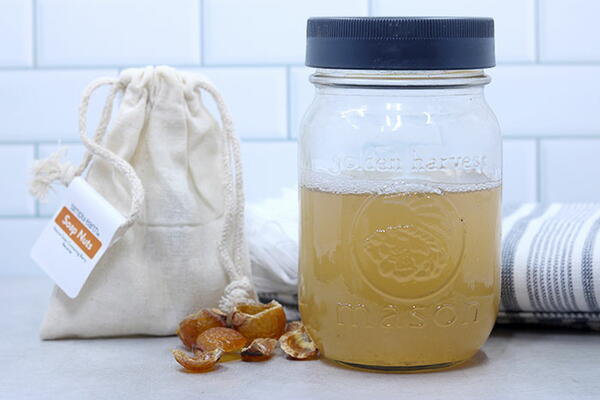 Soap Nut Liquid Concentrate Soap Nut Liquid Concentrate