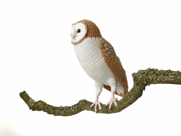 Barn Owl By Vanessa Mooncie Barn Owl By Vanessa Mooncie