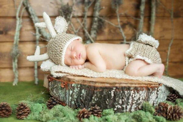 White Tail Deer Baby White Tail Deer Baby