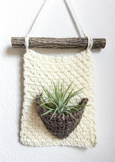 Rustic Air Plant Wall Hanger Rustic Air Plant Wall Hanger