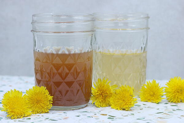 Dandelion Infused Vinegar