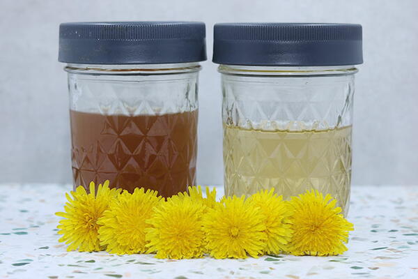 Dandelion Infused Vinegar Dandelion Infused Vinegar