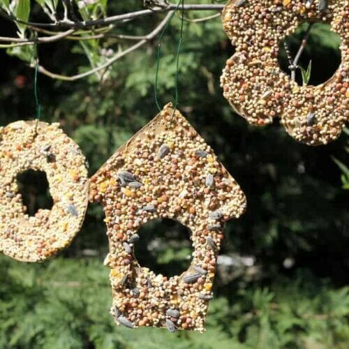 Bird Seed Ornaments Bird Seed Ornaments