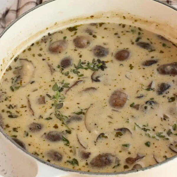 Creamy Mushroom Soup Creamy Mushroom Soup