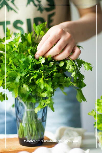 How Long Does Cilantro Last And How To Store How Long Does Cilantro Last And How To Store
