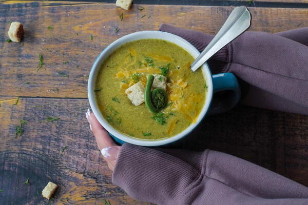 Cheesy Fiddlehead Soup Cheesy Fiddlehead Soup
