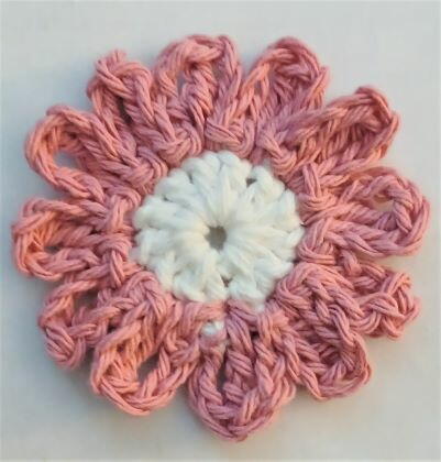 Small Daisy Small Daisy