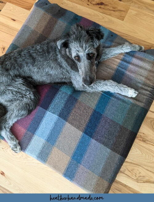 How To Sew A Dog Bed How To Sew A Dog Bed