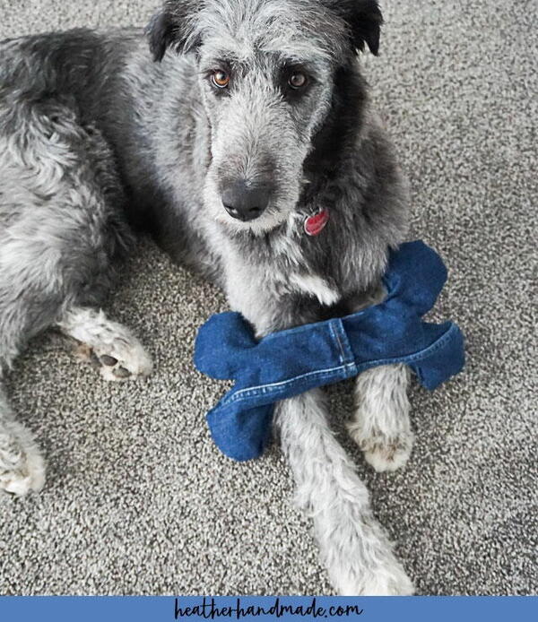 DIY Water Bottle Dog Toy DIY Water Bottle Dog Toy