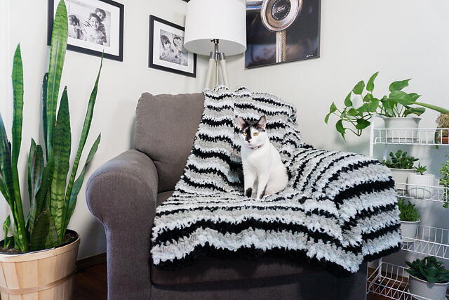 Biscuit Blanket Biscuit Blanket