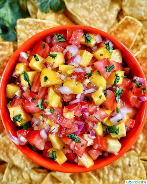 Mango Pico De Gallo Recipes Mango Pico De Gallo Recipes