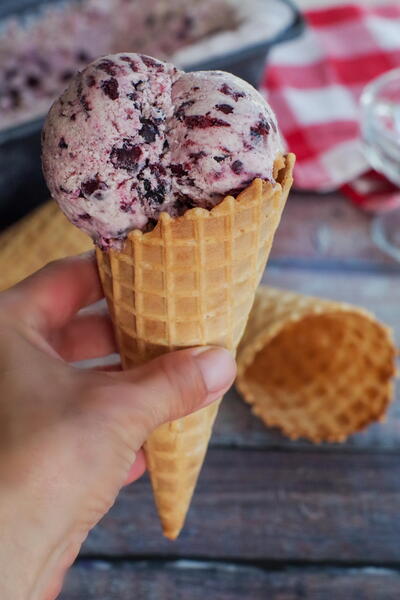 Saskatoon Berry Ice Cream Saskatoon Berry Ice Cream
