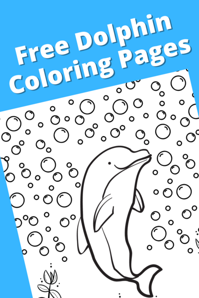 Printable Dolphin Coloring Pages Printable Dolphin Coloring Pages