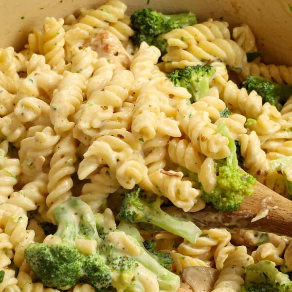 Chicken Broccoli Alfredo Chicken Broccoli Alfredo