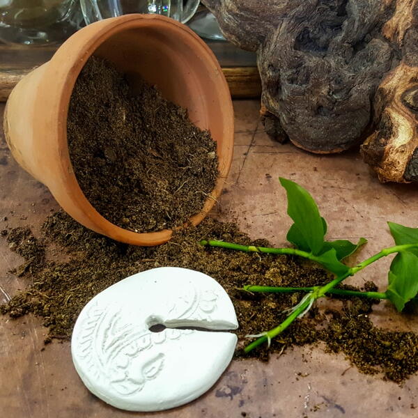 Cutting Propagation Discs Cutting Propagation Discs