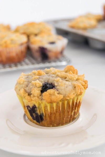 Blueberry Streusel Muffins Blueberry Streusel Muffins