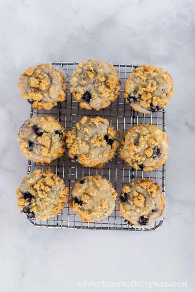 Blueberry Streusel Muffins Blueberry Streusel Muffins