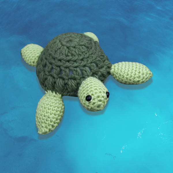 Sea Turtle Sea Turtle