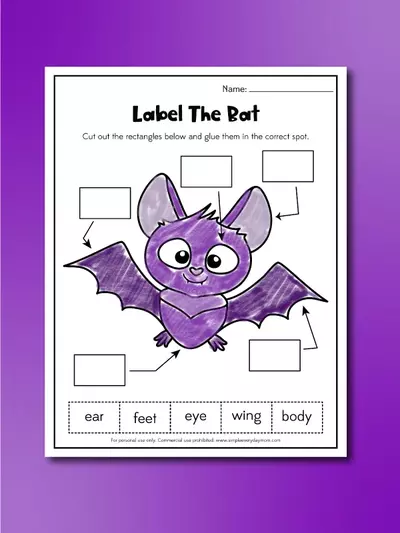 Bat Worksheet For Kids