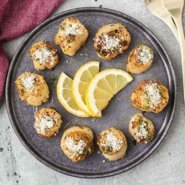 Pan Seared Scallops Pan Seared Scallops