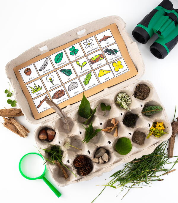 Egg Carton Scavenger Hunt Egg Carton Scavenger Hunt