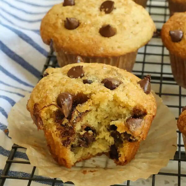 Chocolate Chip Muffins Chocolate Chip Muffins