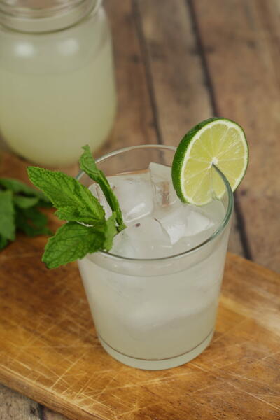 Mojito Flavored Moonshine Mojito Flavored Moonshine