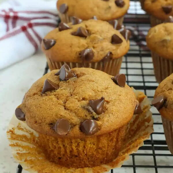 Pumpkin Chocolate Chip Muffins Pumpkin Chocolate Chip Muffins