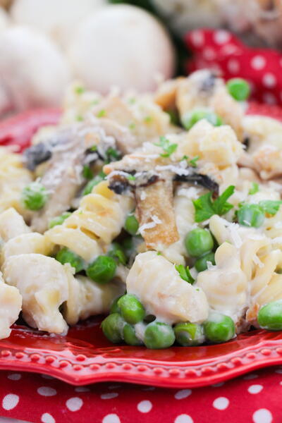 Chicken Tetrazini Chicken Tetrazini