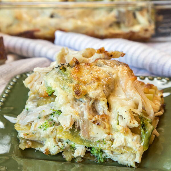 Chicken And Broccoli Lasagna