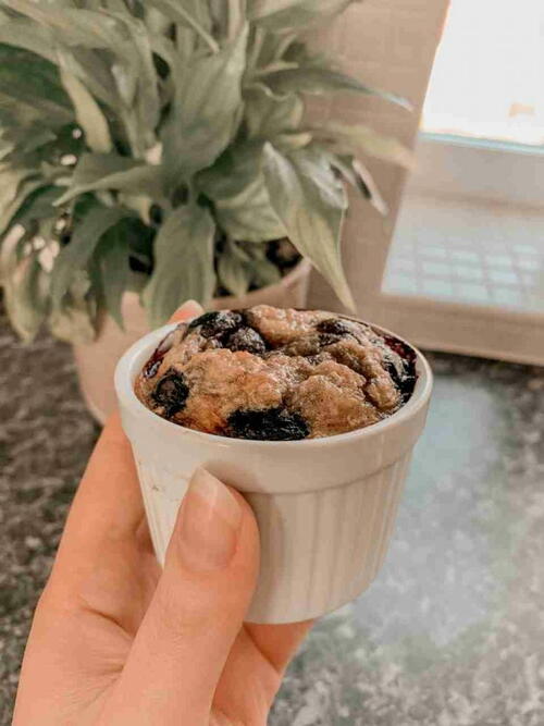 Blueberry Banana Bread Mug Cake Blueberry Banana Bread Mug Cake