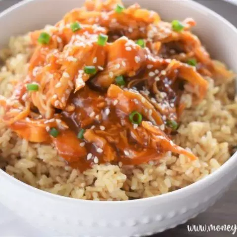 Shredded Teriyaki Chicken Shredded Teriyaki Chicken