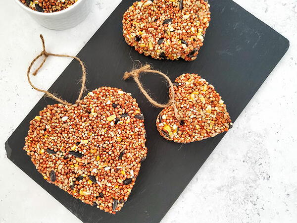 Easy Bird Seed Ornaments Easy Bird Seed Ornaments