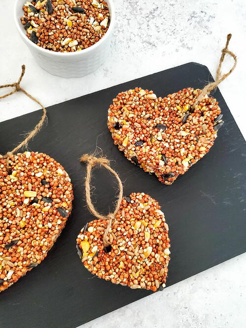 Easy Bird Seed Ornaments Easy Bird Seed Ornaments