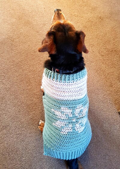 Easy Crochet Dog Sweater Easy Crochet Dog Sweater