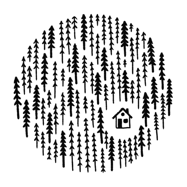 Cabin in the Woods Cabin in the Woods