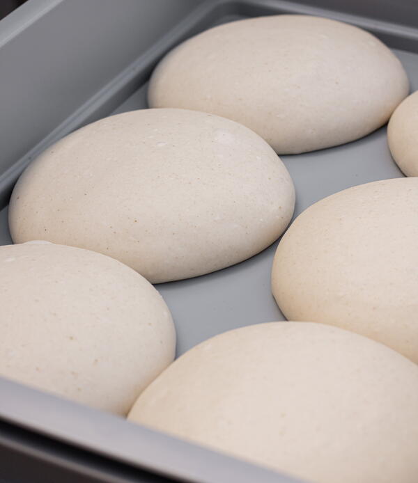 Neapolitan Dough Neapolitan Dough